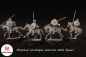 Preview: Mounted Carolingian Warriors mit Speeren